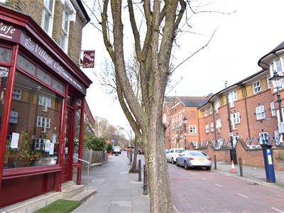 Picture 14
